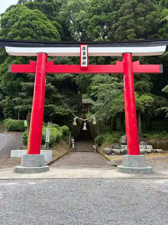 住吉神社の{uncategorized: "未分類", other: "その他", undefined: "問題あり", building: "その他建物", grave: "お墓", sacred_gate: "鳥居", guardian: "狛犬", statue: "像", buddha: "仏像", history: "歴史", nature: "自然", garden: "庭園", animal: "動物", pagoda: "塔", temizu: "手水舎", mountain_gate: "山門・神門", sanctuary: "本殿・本堂", subordinate: "末社・摂社", art: "芸術", scenery: "景色", jizo: "地蔵", ema: "絵馬", goshuin: "御朱印", omikuji: "おみくじ", items: "授与品その他", amulet: "お守り", goshuincho: "御朱印帳", eats: "食事", festival: "お祭り", votive_dance: "神楽", shichigosan: "七五三参", wedding: "結婚式", experience: "体験その他", initially: "初詣", around: "周辺", anti_infection: "感染症対策"}
