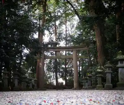 御上神社の鳥居