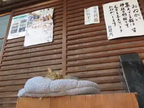 梅宮大社(京都府)