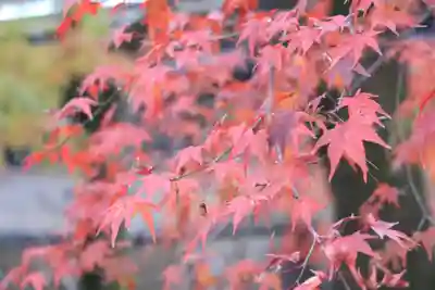 石清水八幡宮(京都府)