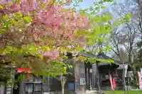 安禅寺(新潟県)