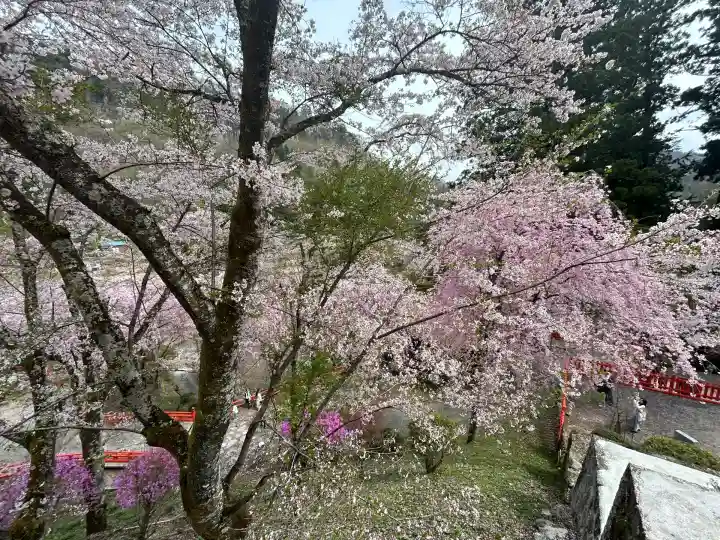金櫻神社(山梨県)