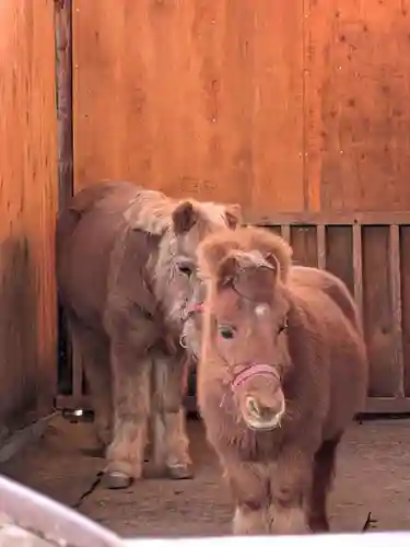 五方山熊野神社(東京都)
