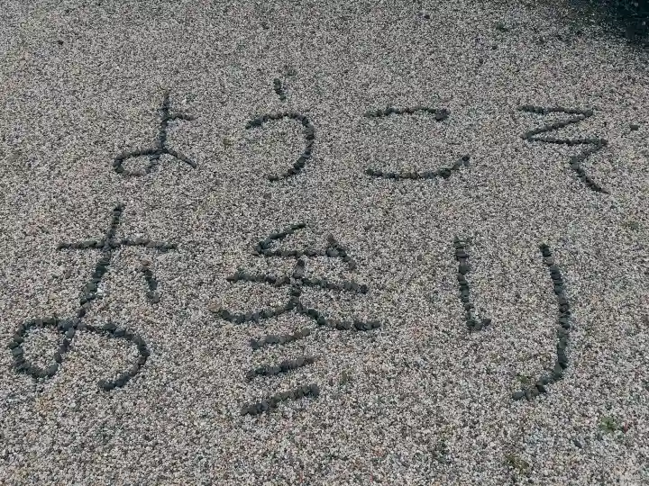 蓮花寺の{uncategorized: "未分類", other: "その他", undefined: "問題あり", building: "その他建物", grave: "お墓", sacred_gate: "鳥居", guardian: "狛犬", statue: "像", buddha: "仏像", history: "歴史", nature: "自然", garden: "庭園", animal: "動物", pagoda: "塔", temizu: "手水舎", mountain_gate: "山門・神門", sanctuary: "本殿・本堂", subordinate: "末社・摂社", art: "芸術", scenery: "景色", jizo: "地蔵", ema: "絵馬", goshuin: "御朱印", omikuji: "おみくじ", items: "授与品その他", amulet: "お守り", goshuincho: "御朱印帳", eats: "食事", festival: "お祭り", votive_dance: "神楽", shichigosan: "七五三参", wedding: "結婚式", experience: "体験その他", initially: "初詣", around: "周辺", anti_infection: "感染症対策"}