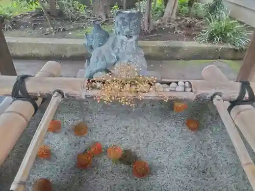 居木神社の手水