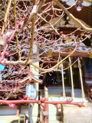 諏訪神社(東京都)