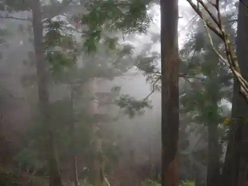 玉置神社の{uncategorized: "未分類", other: "その他", undefined: "問題あり", building: "その他建物", grave: "お墓", sacred_gate: "鳥居", guardian: "狛犬", statue: "像", buddha: "仏像", history: "歴史", nature: "自然", garden: "庭園", animal: "動物", pagoda: "塔", temizu: "手水舎", mountain_gate: "山門・神門", sanctuary: "本殿・本堂", subordinate: "末社・摂社", art: "芸術", scenery: "景色", jizo: "地蔵", ema: "絵馬", goshuin: "御朱印", omikuji: "おみくじ", items: "授与品その他", amulet: "お守り", goshuincho: "御朱印帳", eats: "食事", festival: "お祭り", votive_dance: "神楽", shichigosan: "七五三参", wedding: "結婚式", experience: "体験その他", initially: "初詣", around: "周辺", anti_infection: "感染症対策"}