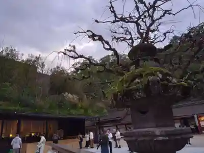 太宰府天満宮(福岡県)