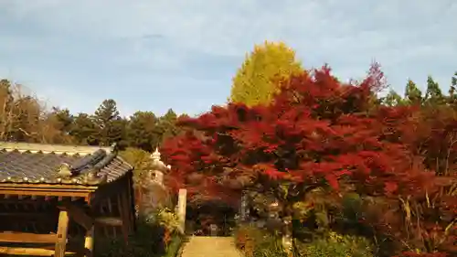 普濟寺の庭園