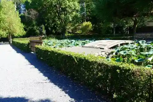 東福禅寺（東福寺）の庭園