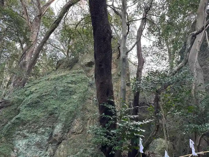 立石神社の{uncategorized: "未分類", other: "その他", undefined: "問題あり", building: "その他建物", grave: "お墓", sacred_gate: "鳥居", guardian: "狛犬", statue: "像", buddha: "仏像", history: "歴史", nature: "自然", garden: "庭園", animal: "動物", pagoda: "塔", temizu: "手水舎", mountain_gate: "山門・神門", sanctuary: "本殿・本堂", subordinate: "末社・摂社", art: "芸術", scenery: "景色", jizo: "地蔵", ema: "絵馬", goshuin: "御朱印", omikuji: "おみくじ", items: "授与品その他", amulet: "お守り", goshuincho: "御朱印帳", eats: "食事", festival: "お祭り", votive_dance: "神楽", shichigosan: "七五三参", wedding: "結婚式", experience: "体験その他", initially: "初詣", around: "周辺", anti_infection: "感染症対策"}