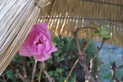 石光寺(奈良県)