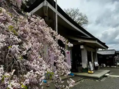 慈眼寺(京都府)