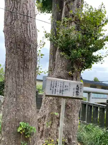 御霊神社(神奈川県)