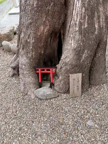 藤の森稲荷大神(兵庫県)