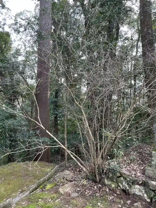 朝光寺(兵庫県)