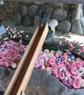 都波岐奈加等神社の手水舎