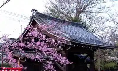 平野神社(京都府)