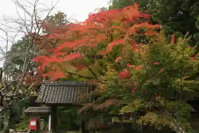 積善寺(京都府)