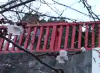 早馬神社の自然