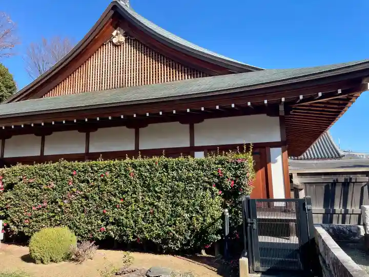 東北寺の{uncategorized: "未分類", other: "その他", undefined: "問題あり", building: "その他建物", grave: "お墓", sacred_gate: "鳥居", guardian: "狛犬", statue: "像", buddha: "仏像", history: "歴史", nature: "自然", garden: "庭園", animal: "動物", pagoda: "塔", temizu: "手水舎", mountain_gate: "山門・神門", sanctuary: "本殿・本堂", subordinate: "末社・摂社", art: "芸術", scenery: "景色", jizo: "地蔵", ema: "絵馬", goshuin: "御朱印", omikuji: "おみくじ", items: "授与品その他", amulet: "お守り", goshuincho: "御朱印帳", eats: "食事", festival: "お祭り", votive_dance: "神楽", shichigosan: "七五三参", wedding: "結婚式", experience: "体験その他", initially: "初詣", around: "周辺", anti_infection: "感染症対策"}