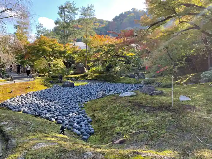 宝厳院の庭園