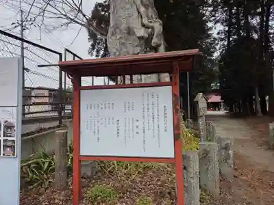 智賀都神社(栃木県)