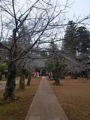 常福寺(千葉県)