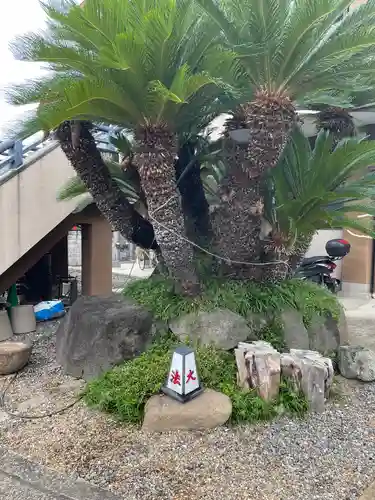 遠照山 光明寺（尼崎大仏）の自然