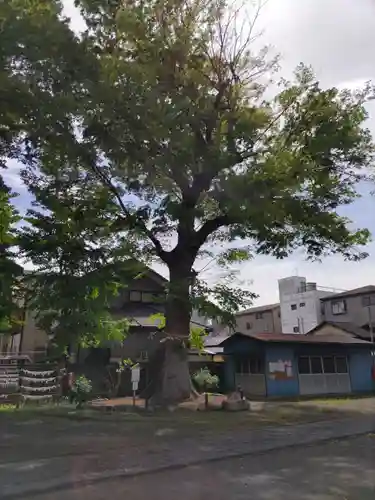 上戸田氷川神社のその他建物