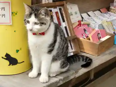 お松大権現の動物