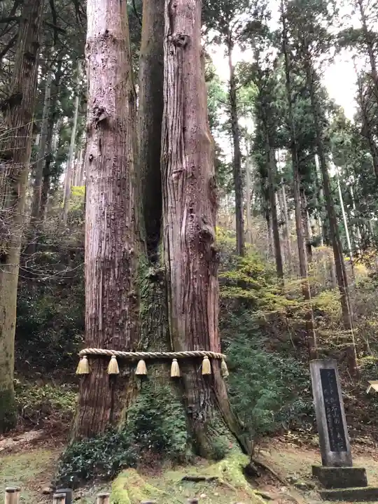 御岩神社の自然