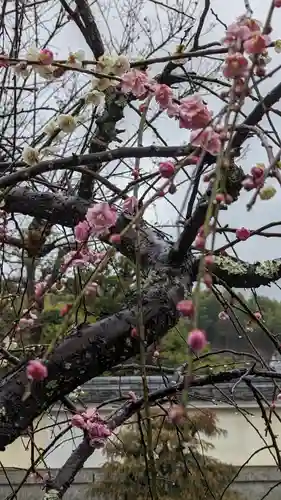 正法寺(京都府)