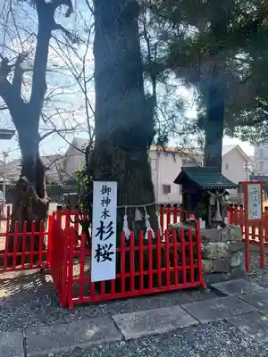 本宮神社の自然