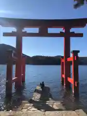 箱根神社の鳥居