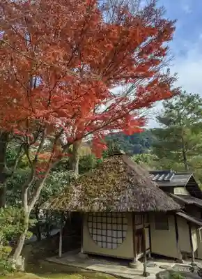 高台寺（高台寿聖禅寺・高臺寺）(京都府)
