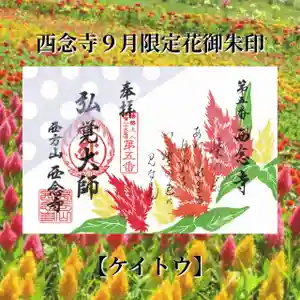 浄土宗 西念寺の御朱印 2023年09月01日(金)〜(2023年08月30日(水) 02時43分38秒投稿)
