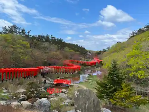 高山稲荷神社の鳥居