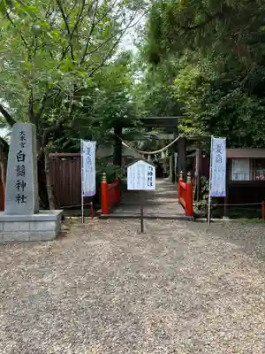 白鬚神社のその他建物