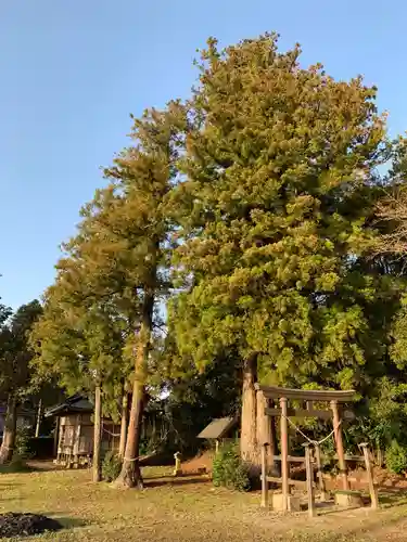 訶具都智神社の鳥居