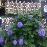 白山神社の庭園