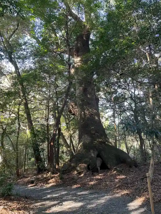 大津神社(豊受大神宮末社)(三重県)
