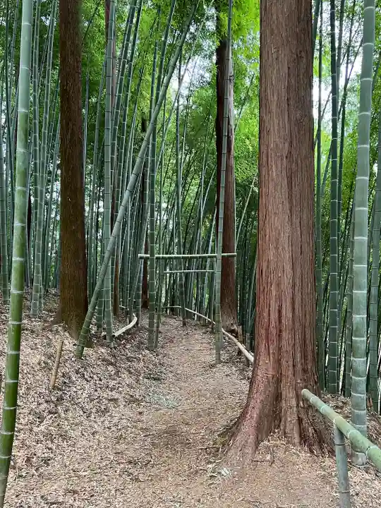 八王寺(埼玉県)