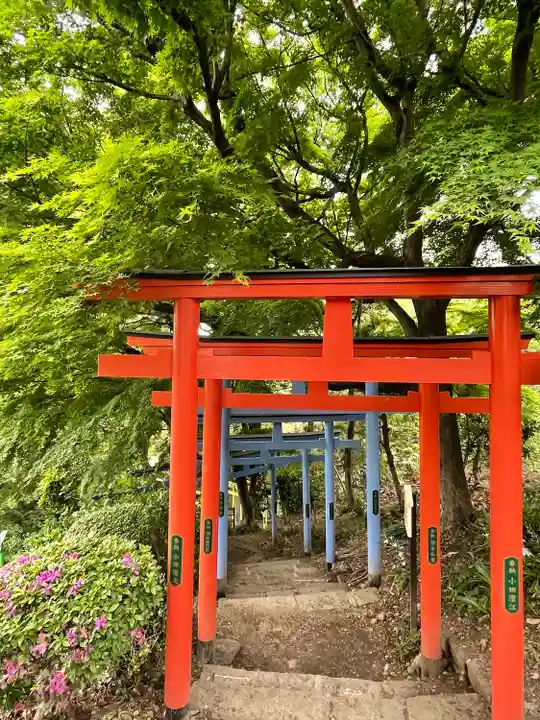 足利織姫神社の鳥居