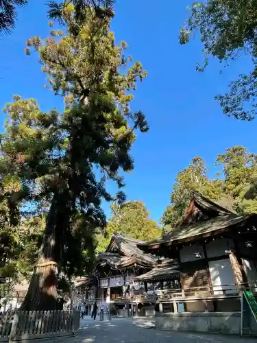 大神神社の{uncategorized: "未分類", other: "その他", undefined: "問題あり", building: "その他建物", grave: "お墓", sacred_gate: "鳥居", guardian: "狛犬", statue: "像", buddha: "仏像", history: "歴史", nature: "自然", garden: "庭園", animal: "動物", pagoda: "塔", temizu: "手水舎", mountain_gate: "山門・神門", sanctuary: "本殿・本堂", subordinate: "末社・摂社", art: "芸術", scenery: "景色", jizo: "地蔵", ema: "絵馬", goshuin: "御朱印", omikuji: "おみくじ", items: "授与品その他", amulet: "お守り", goshuincho: "御朱印帳", eats: "食事", festival: "お祭り", votive_dance: "神楽", shichigosan: "七五三参", wedding: "結婚式", experience: "体験その他", initially: "初詣", around: "周辺", anti_infection: "感染症対策"}