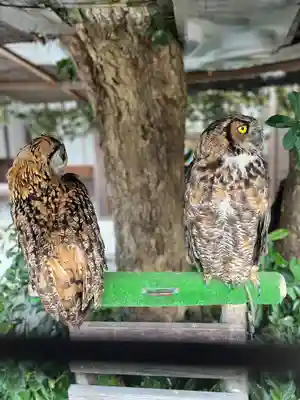 宮地嶽神社(福岡県)