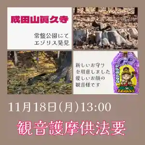 眞久寺の体験その他 2024年11月18日(月)〜(2024年11月16日(土) 19時22分34秒投稿)