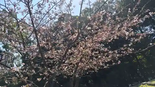 近江神宮(滋賀県)