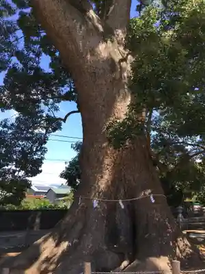 天地神社の自然