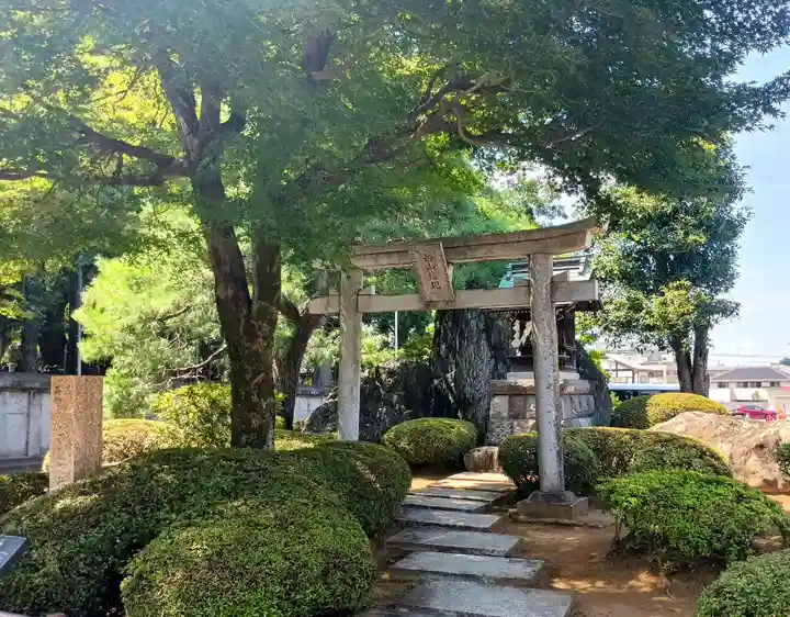白山神社(埼玉県)